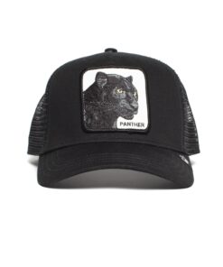 The Panther Black