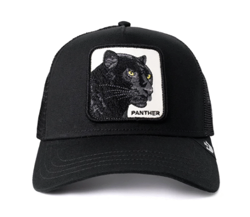 The Panther Black