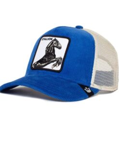 The Stallion Blue